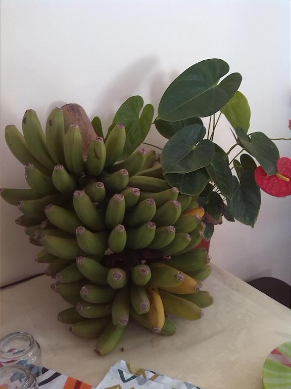 Conjunto Rural Las Rosas Frigiliana Esterno foto